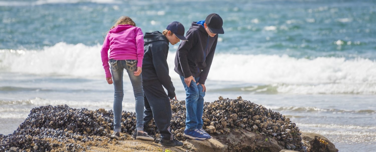 Family looking at tidal pools.