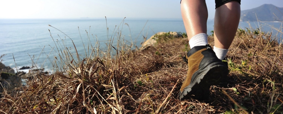 Hiker overlooking the coast.