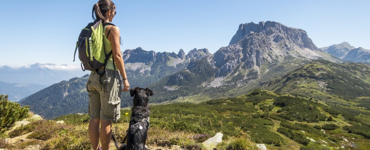 Hiker with dog overlooking mountains.