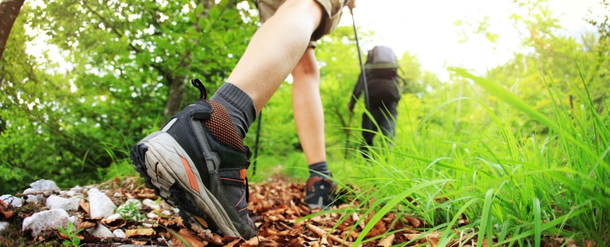 Close up of hiker's boot and legs.