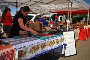 Girl selling berries