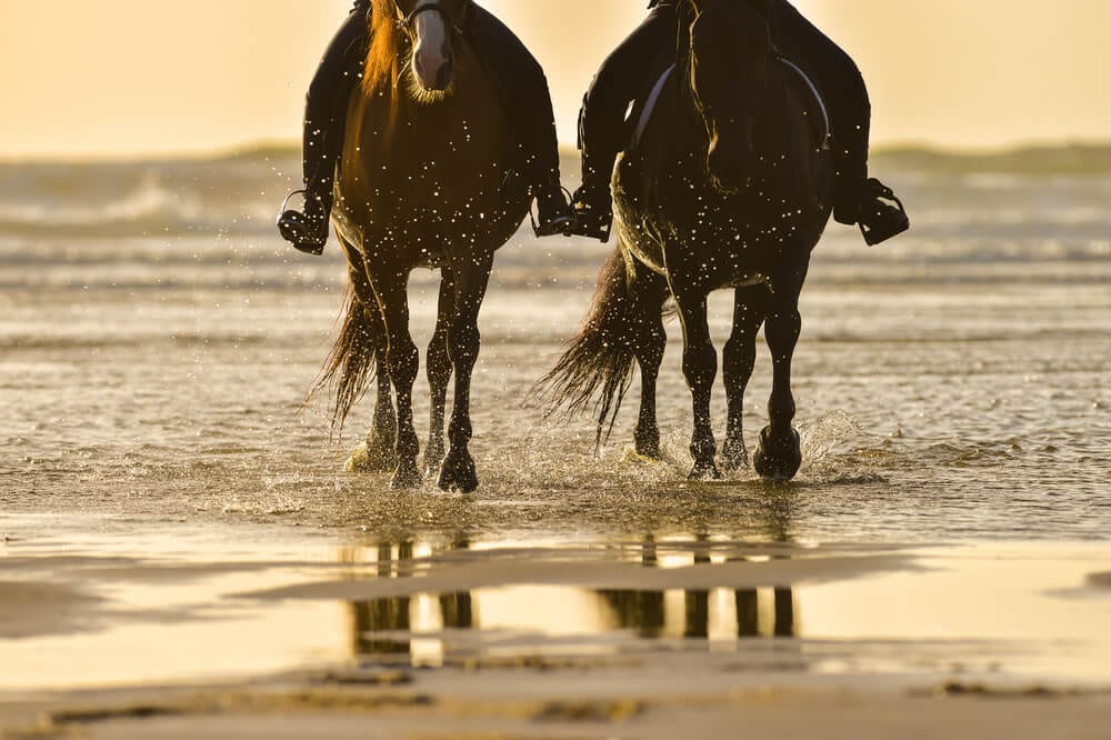 Photo of a Couple Beach Horseback Riding on the Oregon Coast.