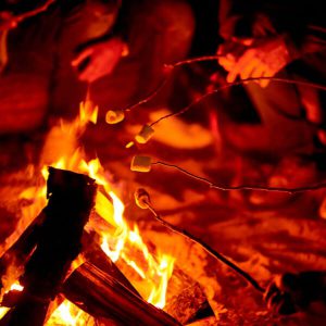 Bonfire roasting marshmallows.